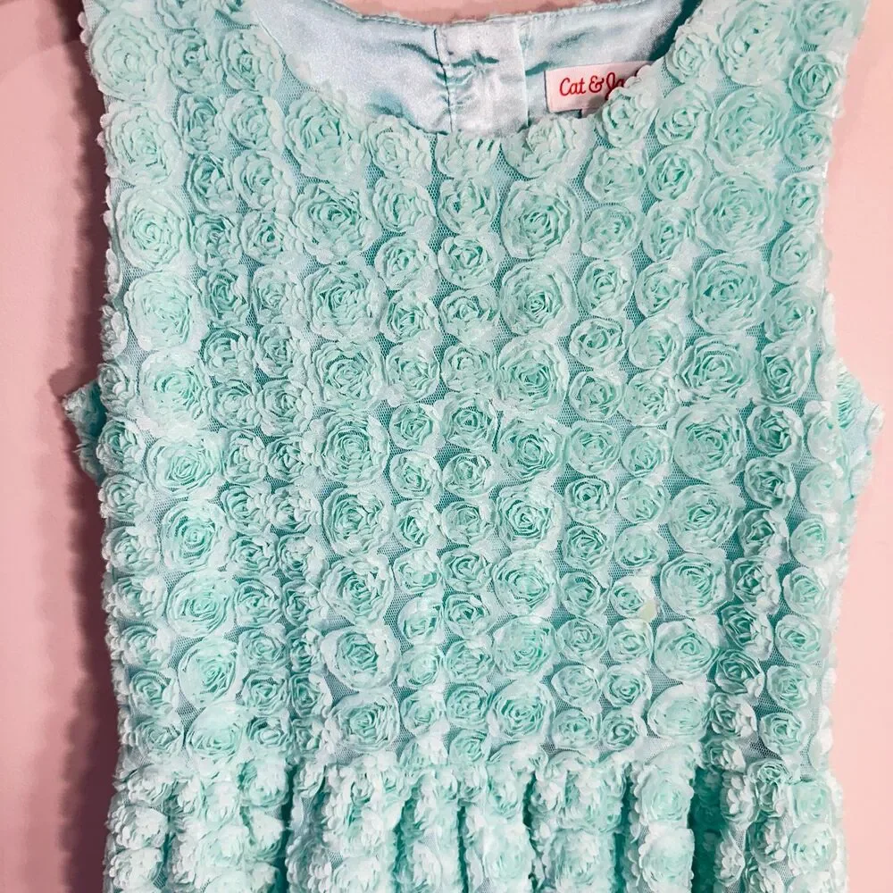 Cat and Jack Dress